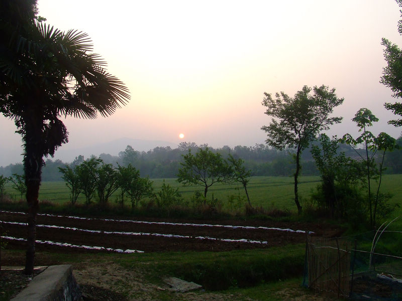 dscf1287.jpg