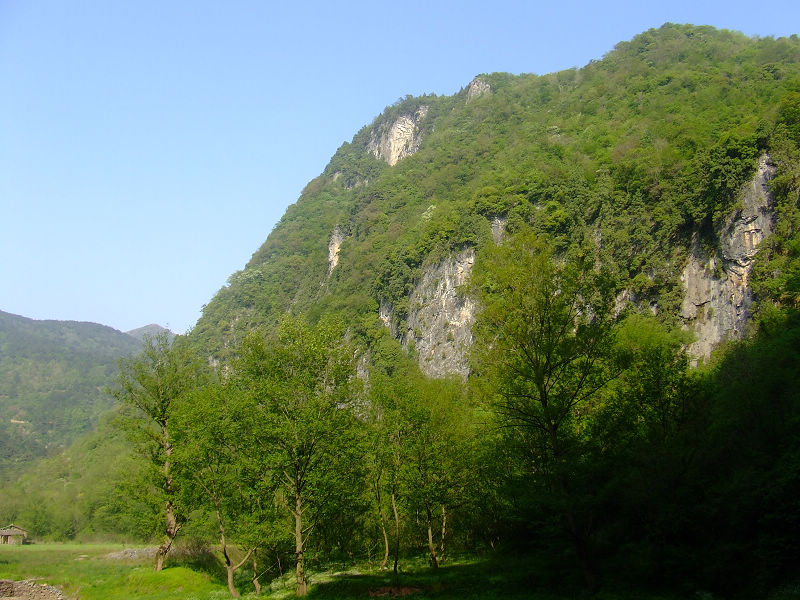 dscf1203.jpg
