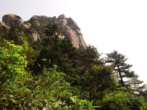 dsc07107-1.jpg