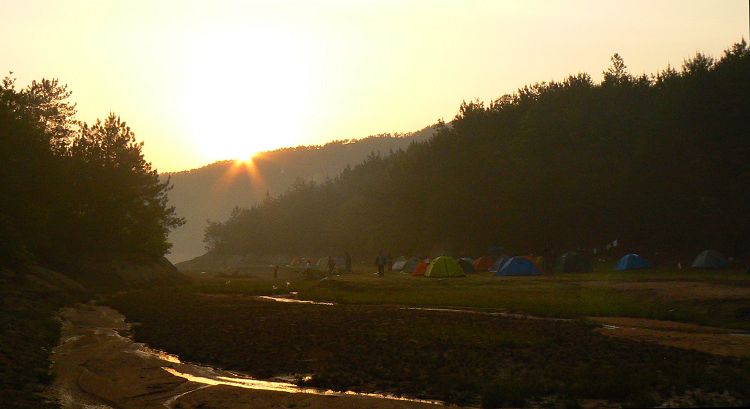 p1230968.jpg
