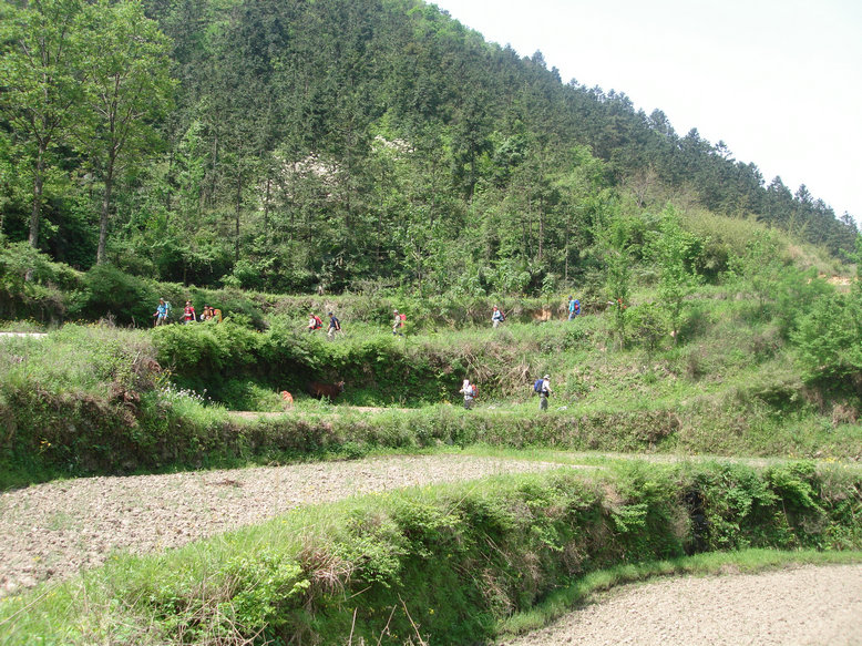 dsc04982.jpg