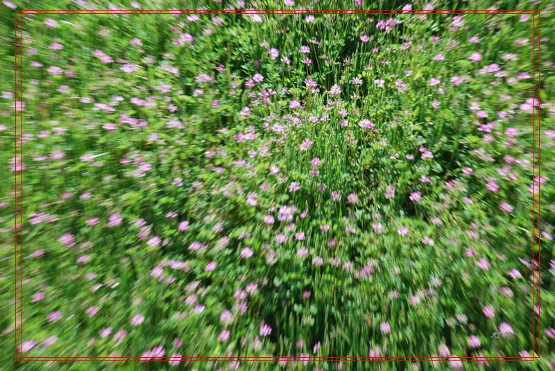 dsc_1087_neo_img.jpg