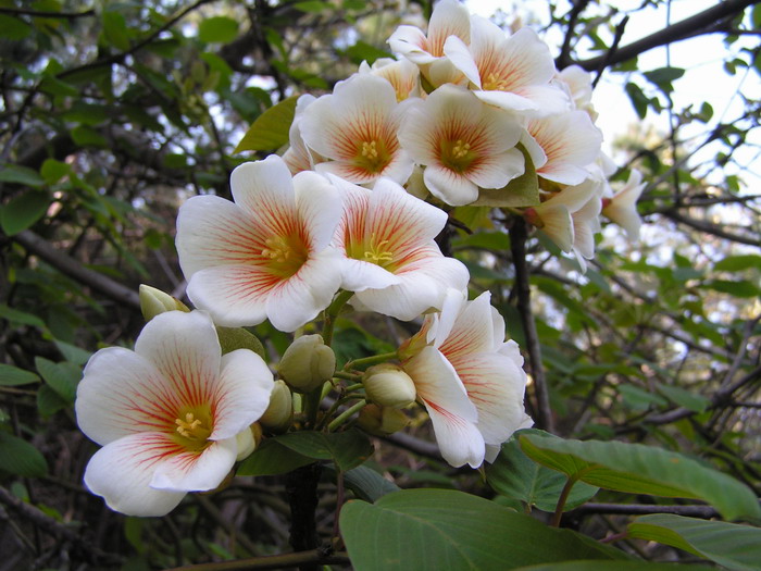 pict0036_С.jpg