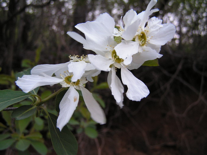 pict0070_С.jpg