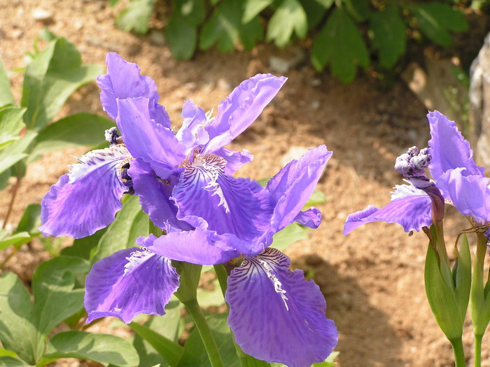 pict0092_С.jpg