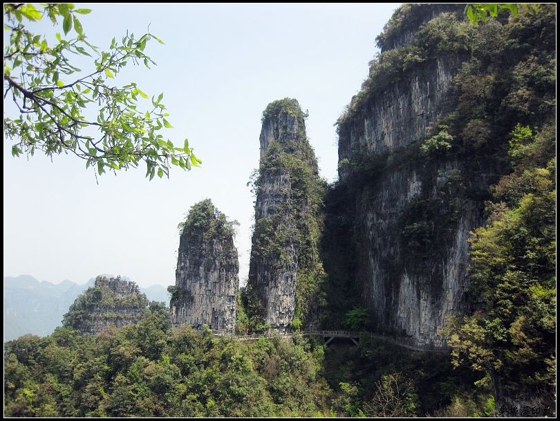 img002.jpg