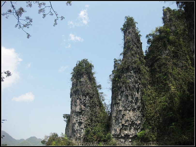 img003.jpg