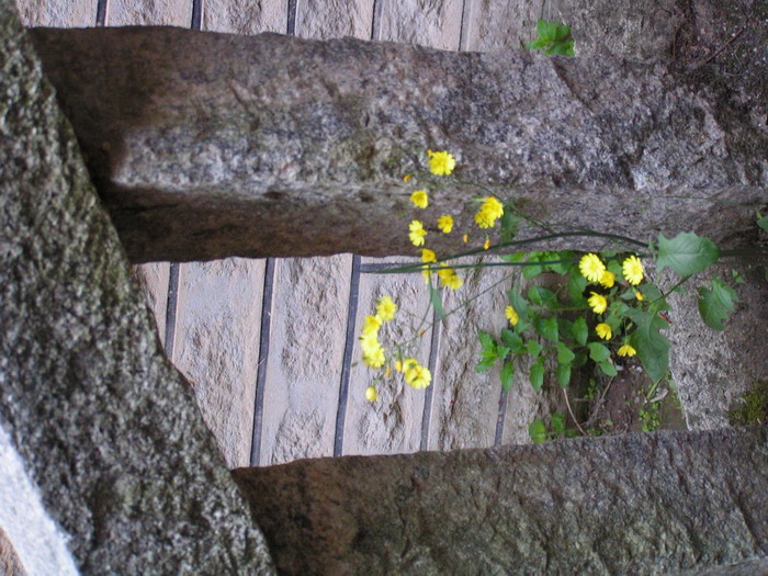 pict0141_С.jpg