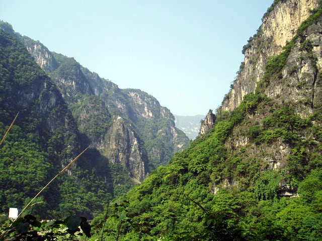p1011222.jpg