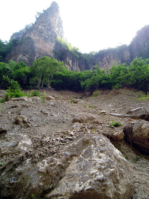 p1011232.jpg