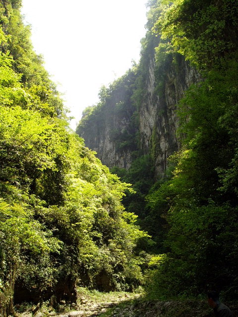 p1011244.jpg