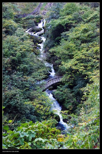 dsc07265-2.jpg