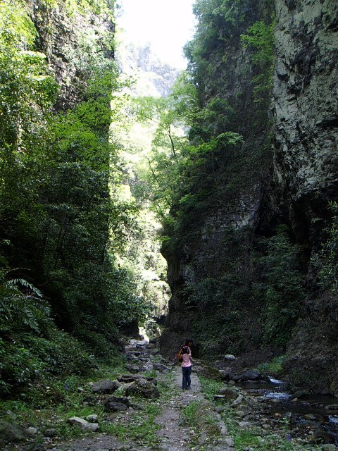 p1011255.jpg