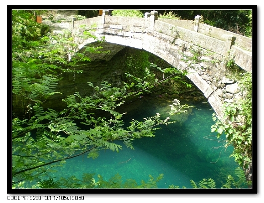dscn6517.jpg