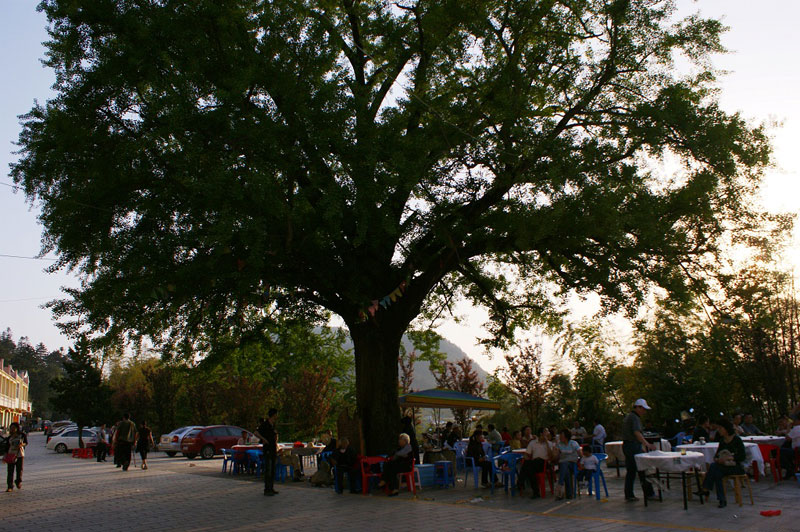 dsc02073.jpg