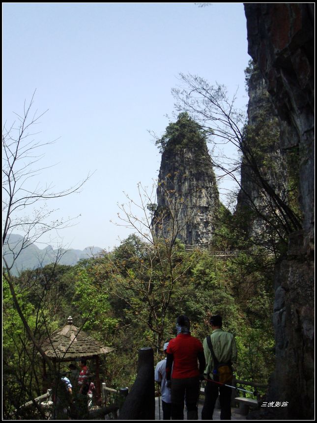 neo_img_dsc03129.jpg