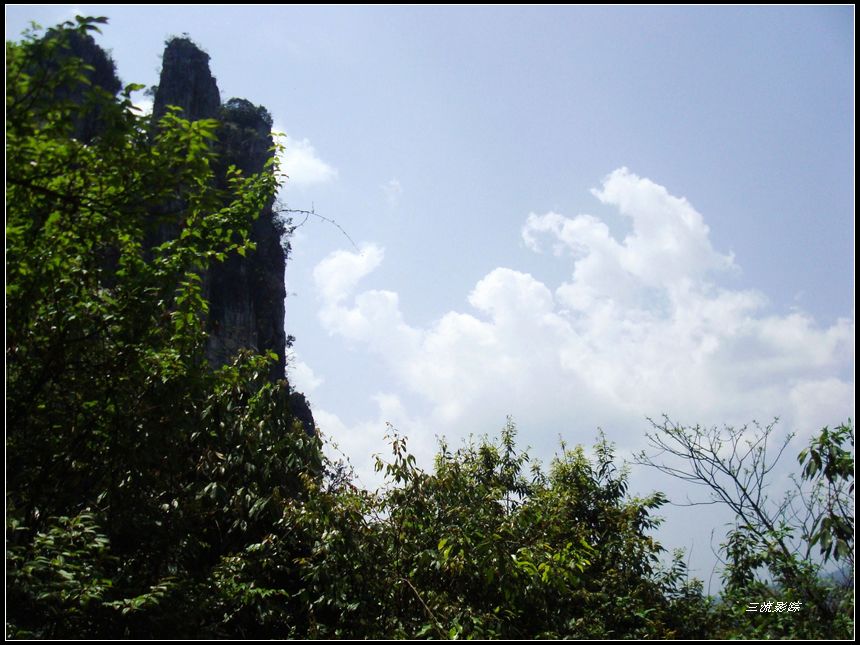 neo_img_dsc03178.jpg