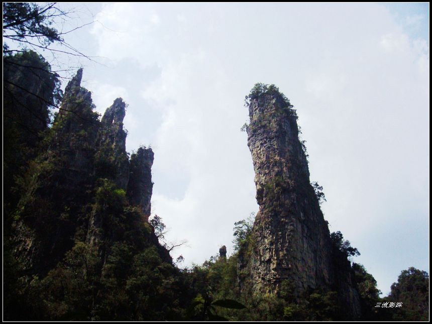 neo_img_dsc03263.jpg