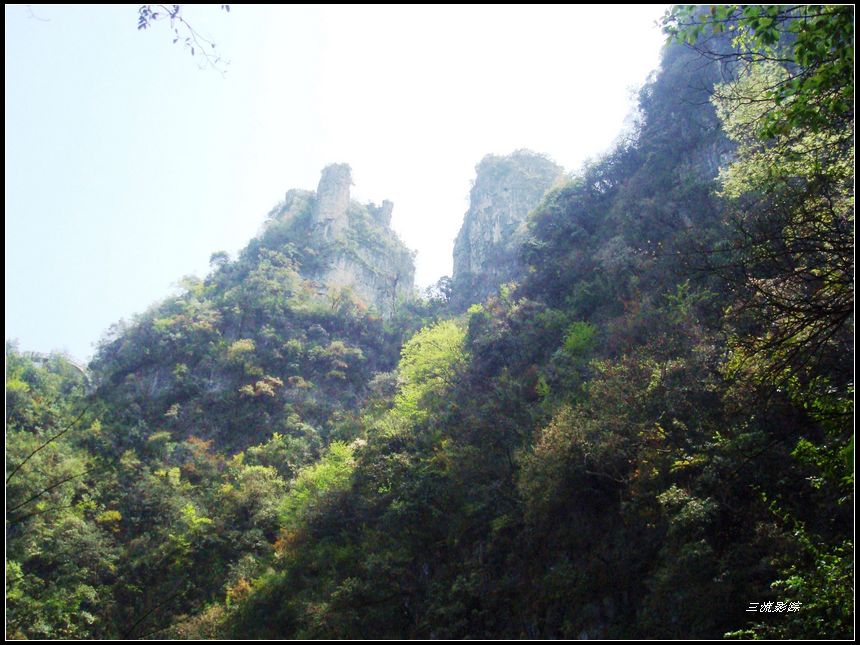 neo_img_dsc03266.jpg