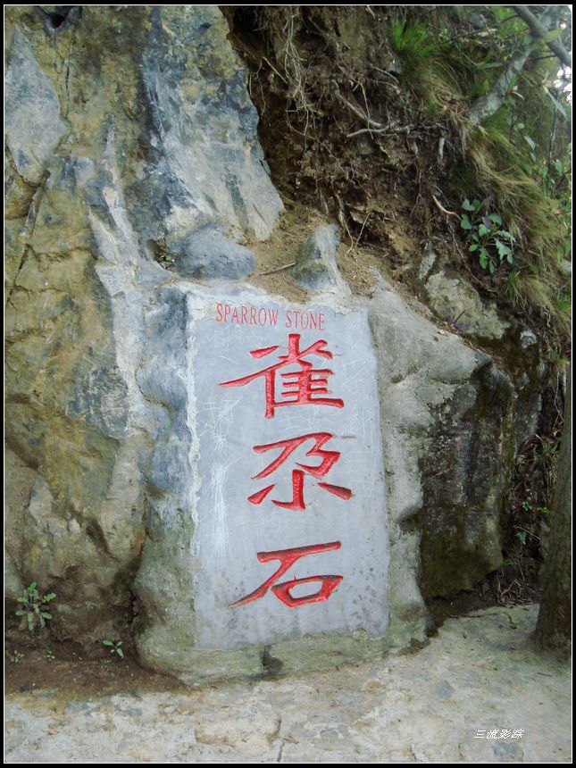 neo_img_dsc03281.jpg