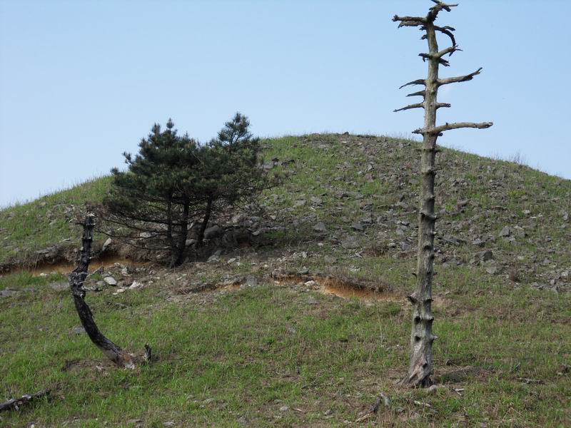 С sdc10315.jpg