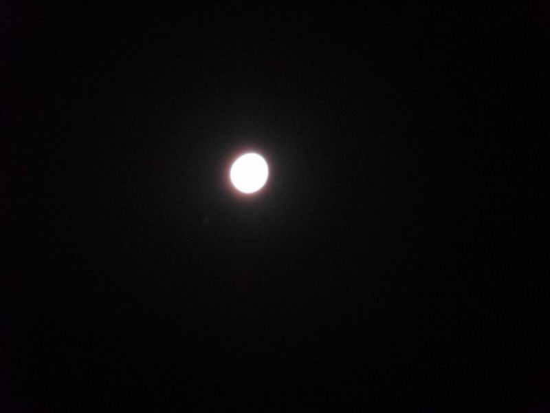 С sdc10228.jpg