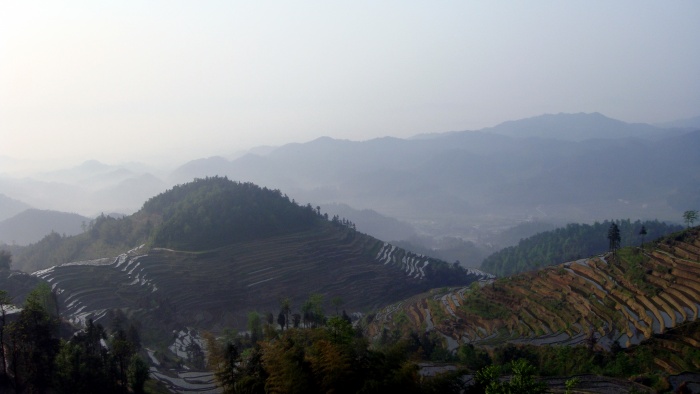 dsc07571.jpg