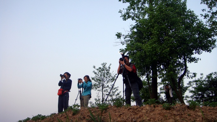 dsc07539.jpg