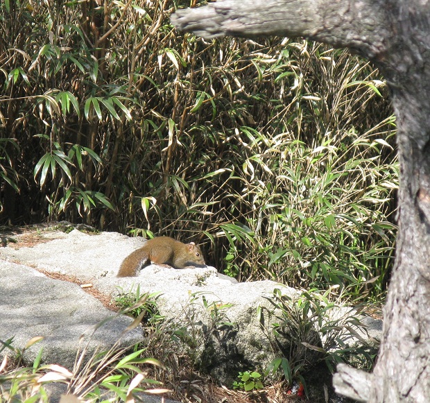 img_3597.jpg