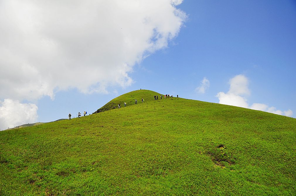 _dsc0479.jpg