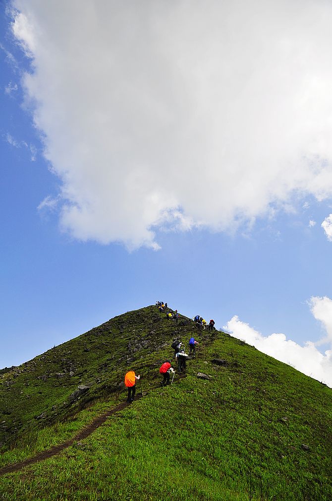 _dsc0498.jpg