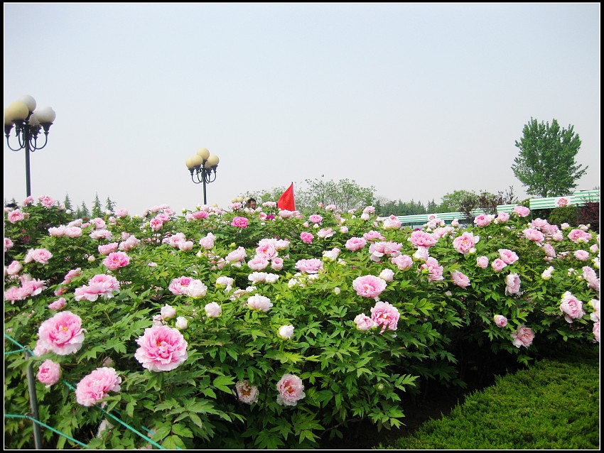 img020.jpg
