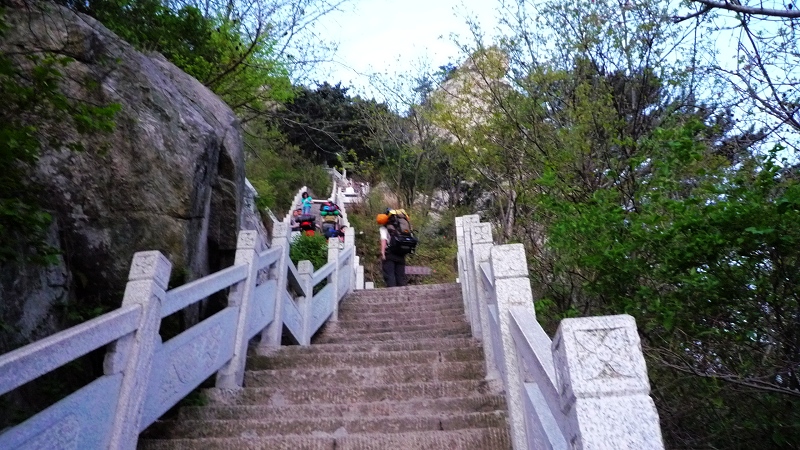 p1190173.jpg