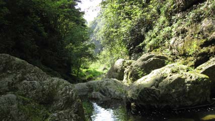 img_0026.jpg