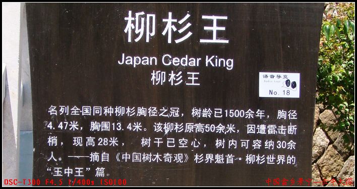 dsc00880.jpg