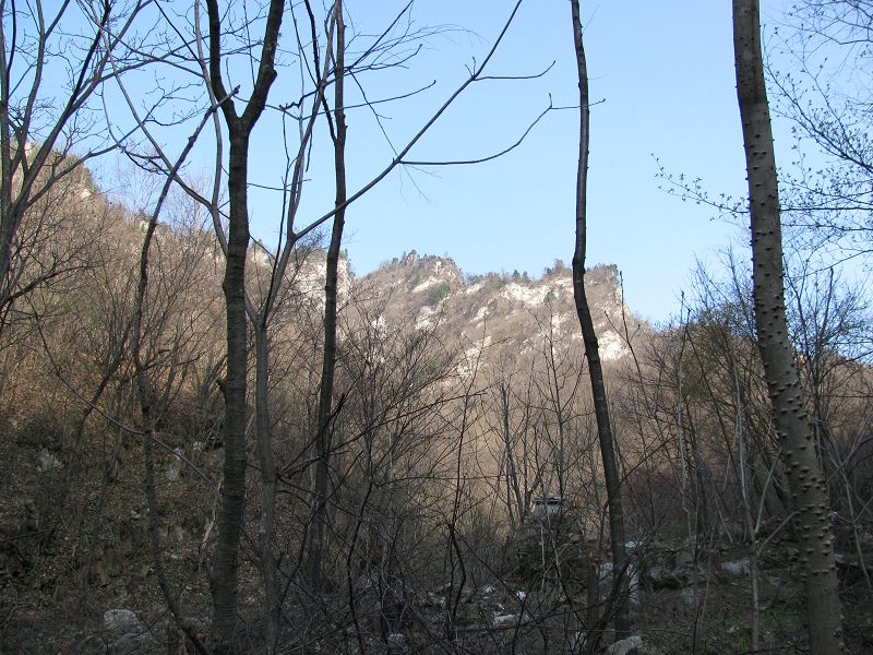 img_0894_neo_img.jpg
