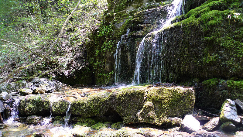 p1010933.jpg