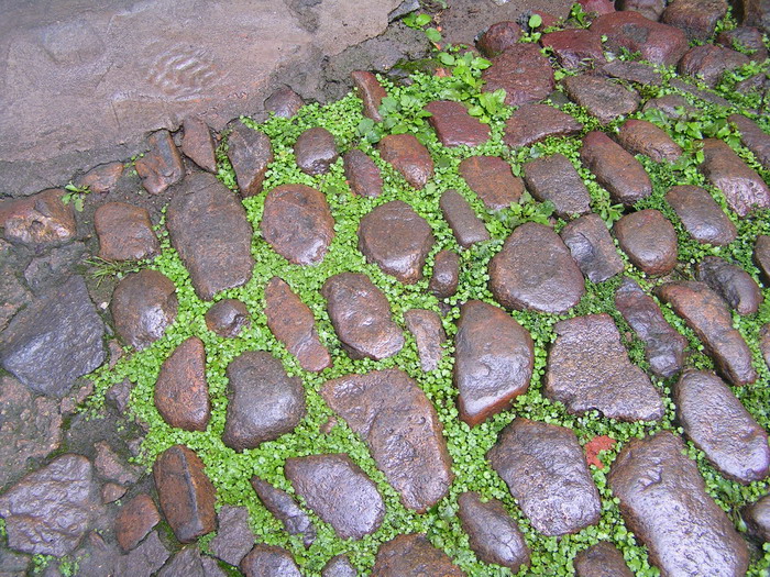 pict0504_С.jpg