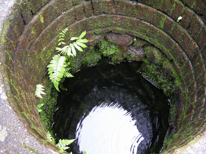 pict0510_С.jpg