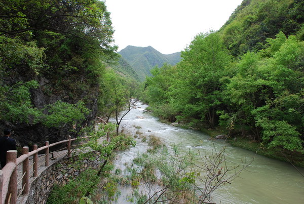dsc_0296.jpg