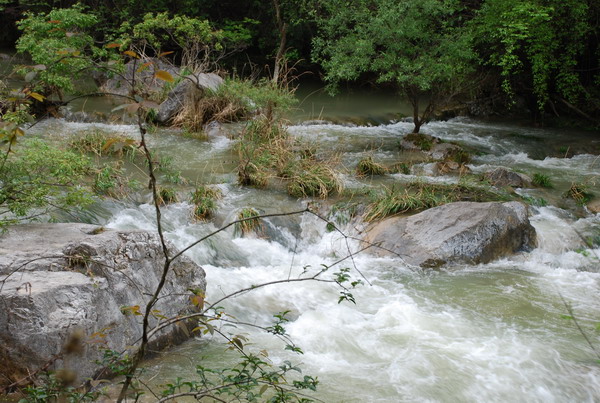 dsc_0322.jpg