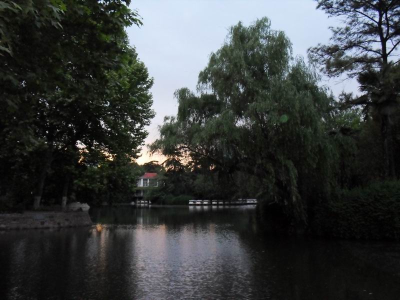 С sdc10235.jpg