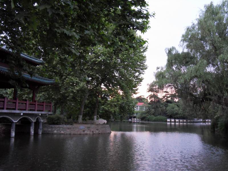 С sdc10237.jpg