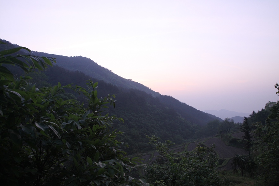 img_7652.jpg