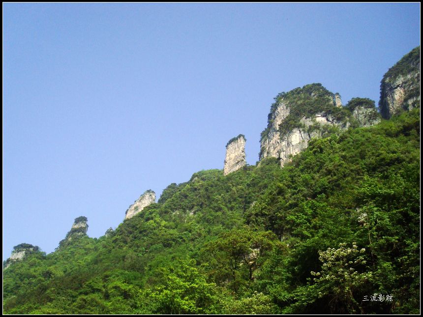 neo_img_dsc03668.jpg