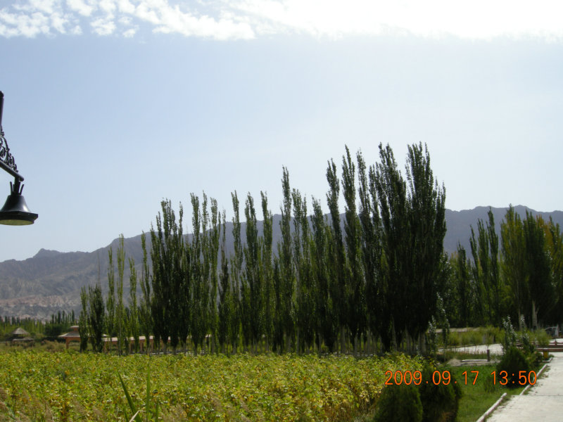 dscn3595.jpg
