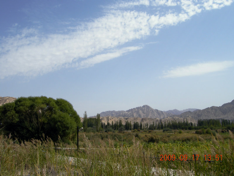 dscn3598.jpg