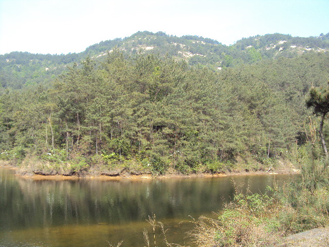 http_imgloadca3zn946.jpg