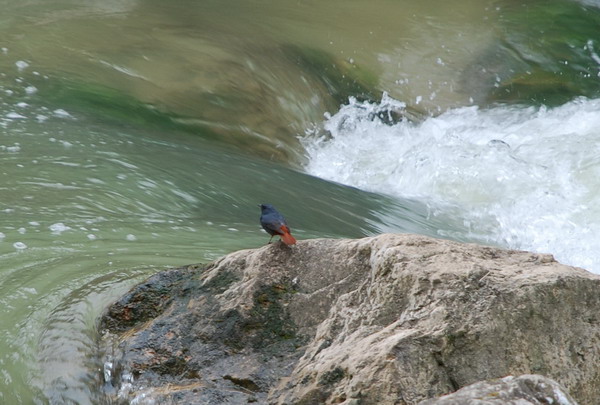dsc_0299.jpg