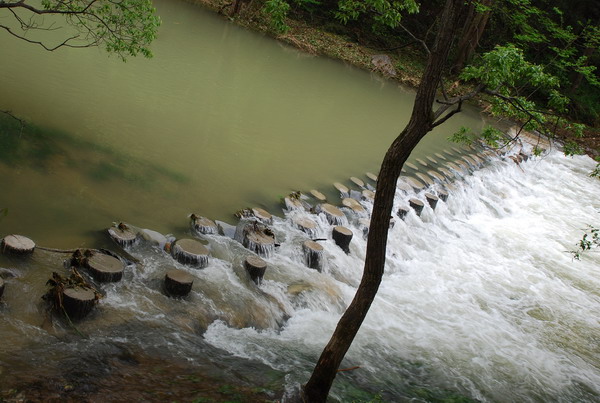 dsc_0319.jpg